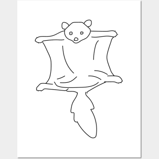 Cute flying squirrel Posters and Art